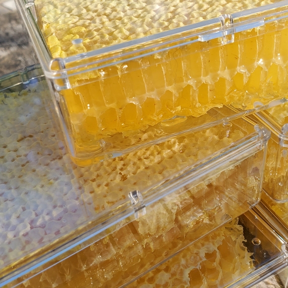 Spring & Fall Honey for sale! - Picture 13 of 15